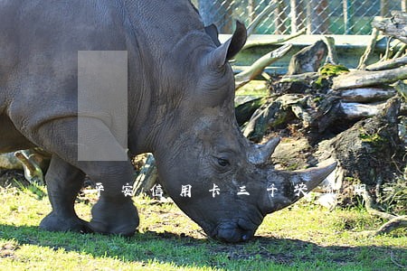 平安信用卡三千块逾期一年 平安信用卡三千块逾期一年