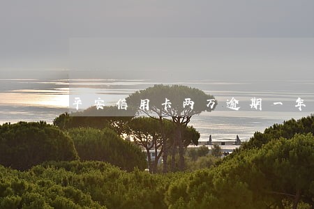 平安信用卡两万逾期一年半 平安信用卡两万逾期一年半