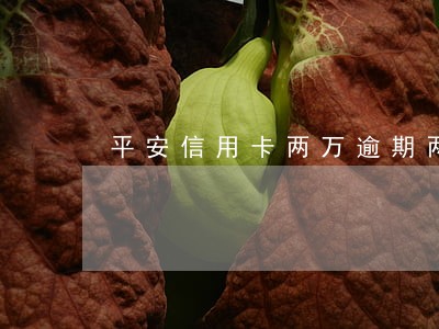 平安信用卡两万逾期两年了 平安信用卡两万逾期两年了
