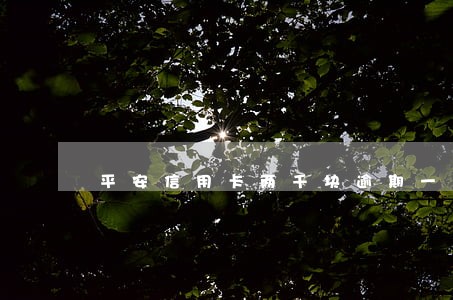 平安信用卡两千块逾期一年翻倍 平安信用卡两千块逾期一年翻倍