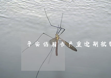 平安信用卡严重逾期被销卡
