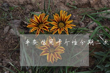 平安信用卡个性分期二次逾期