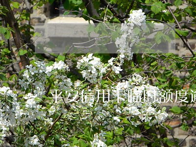平安信用卡临时额度逾期一天