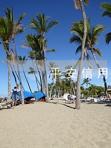 平安信用卡久款四万逾期三个月 平安信用卡久款四万逾期三个月