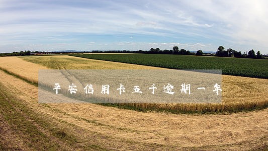 平安信用卡五千逾期一年