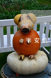 平安信用卡什么逾期 平安信用卡什么逾期