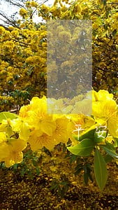 平安信用卡几天不还算逾期
