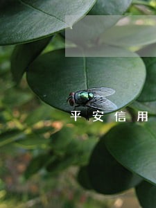 平安信用卡几天才逾期 平安信用卡几天才逾期