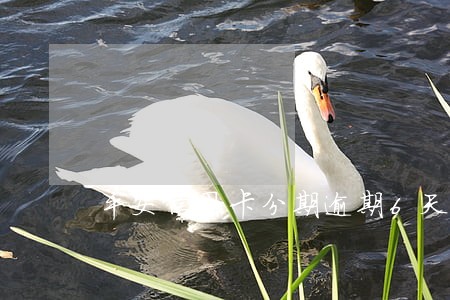 平安信用卡分期逾期6天怎么办 平安信用卡分期逾期6天怎么办