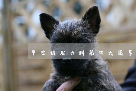 平安信用卡到第四天还算逾期吗 平安信用卡到第四天还算逾期吗
