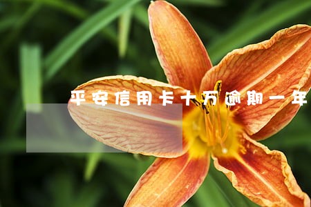 平安信用卡十万逾期一年 平安信用卡十万逾期一年