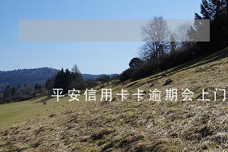 平安信用卡卡逾期会上门吗 平安信用卡卡逾期会上门吗