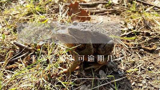 平安信用卡可逾期几天 平安信用卡可逾期几天