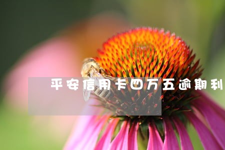 平安信用卡四万五逾期利息怎么收