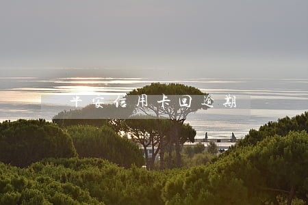 平安信用卡回逾期 平安信用卡回逾期