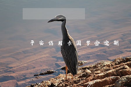 平安信用卡圆梦金逾期 平安信用卡圆梦金逾期