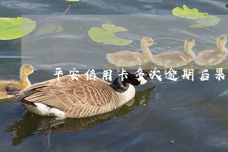 平安信用卡多次逾期后果 平安信用卡多次逾期后果