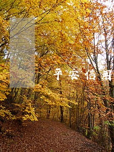 平安信用卡如果逾期怎么办 平安信用卡如果逾期怎么办