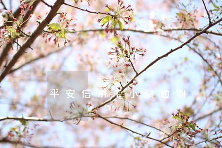 平安信用卡小额逾期 平安信用卡小额逾期