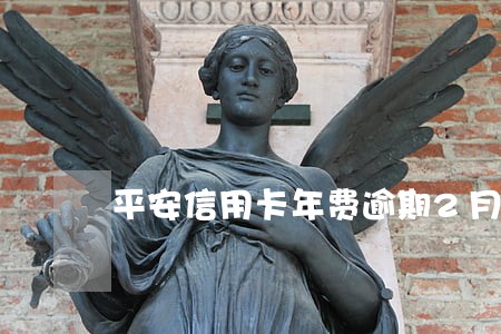 平安信用卡年费逾期2月 平安信用卡年费逾期2月