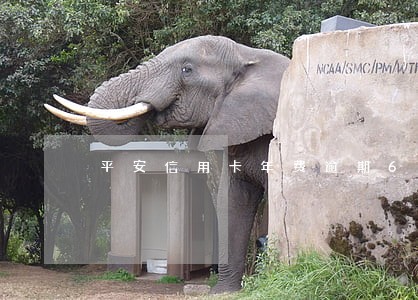 平安信用卡年费逾期6天