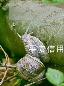平安信用卡延迟一天还款算逾期吗 平安信用卡延迟一天还款算逾期吗