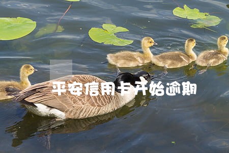 平安信用卡开始逾期 平安信用卡开始逾期