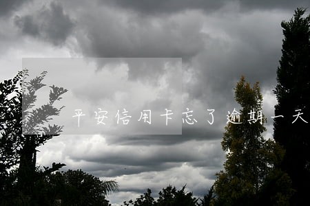 平安信用卡忘了逾期一天 平安信用卡忘了逾期一天