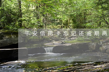 平安信用卡忘记还逾期两天 平安信用卡忘记还逾期两天