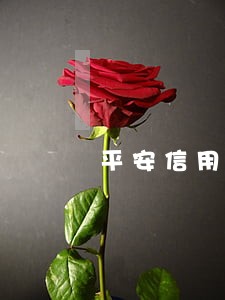 平安信用卡忘还五天算逾期吗 平安信用卡忘还五天算逾期吗