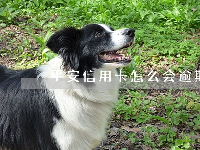 平安信用卡怎么会逾期 平安信用卡怎么会逾期