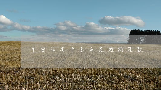 平安信用卡怎么是逾期还款 平安信用卡怎么是逾期还款