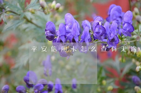 平安信用卡怎么查有无逾期