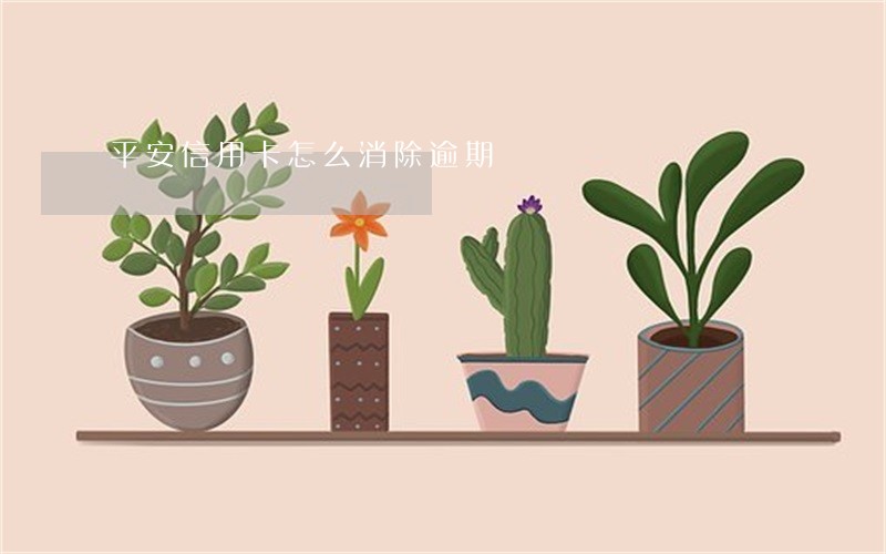 平安信用卡怎么消除逾期 平安信用卡怎么消除逾期