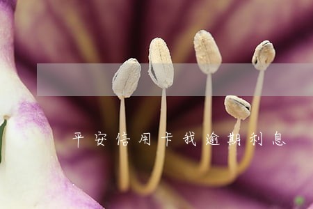平安信用卡我逾期利息 平安信用卡我逾期利息