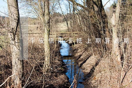 平安信用卡抵上期算逾期么 平安信用卡抵上期算逾期么