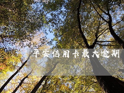 平安信用卡最大逾期 平安信用卡最大逾期