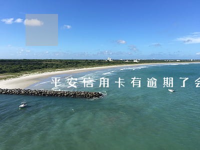 平安信用卡有逾期了会怎么样 平安信用卡有逾期了会怎么样