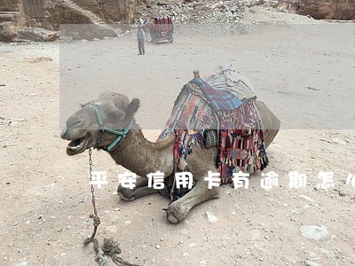 平安信用卡有逾期怎么消除 平安信用卡有逾期怎么消除