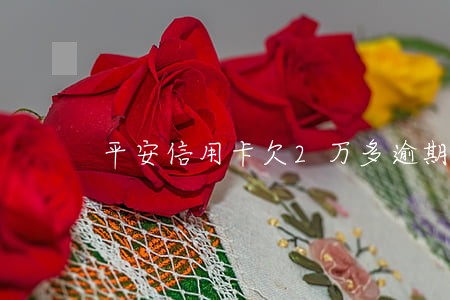平安信用卡欠2万多逾期20天