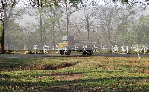 平安信用卡欠六千逾期四个月 平安信用卡欠六千逾期四个月