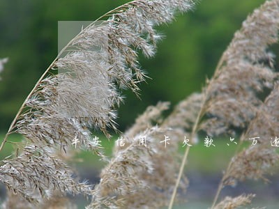 平安信用卡欠款六万逾期 平安信用卡欠款六万逾期