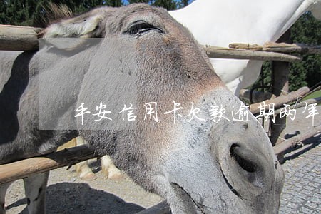 平安信用卡欠款逾期两年 平安信用卡欠款逾期两年