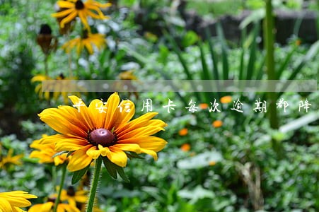 平安信用卡每次逾期都降额度 平安信用卡每次逾期都降额度