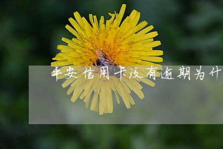 平安信用卡没有逾期为什么降额 平安信用卡没有逾期为什么降额