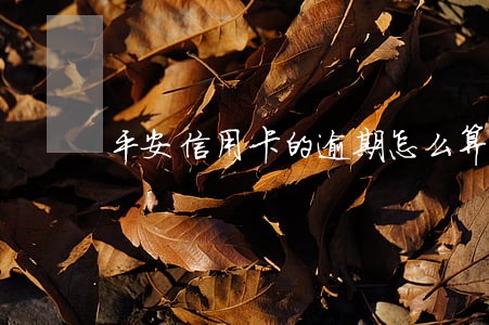 平安信用卡的逾期怎么算的 平安信用卡的逾期怎么算的