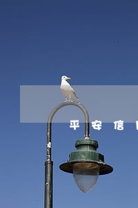 平安信用卡能逾期吗