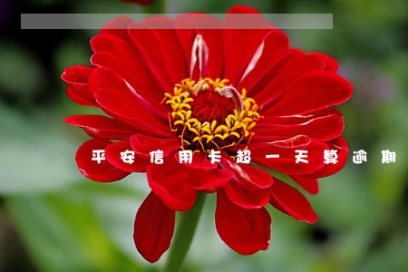 平安信用卡超一天算逾期吗 平安信用卡超一天算逾期吗
