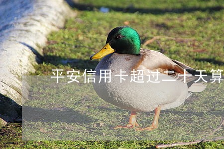 平安信用卡超过二十天算逾期吗 平安信用卡超过二十天算逾期吗