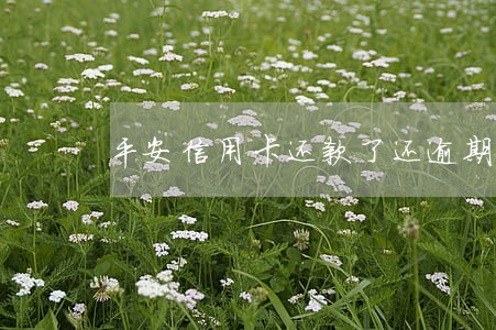 平安信用卡还款了还逾期